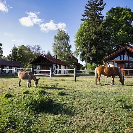 Pferdehof Schorfheide Villa Bagian luar foto