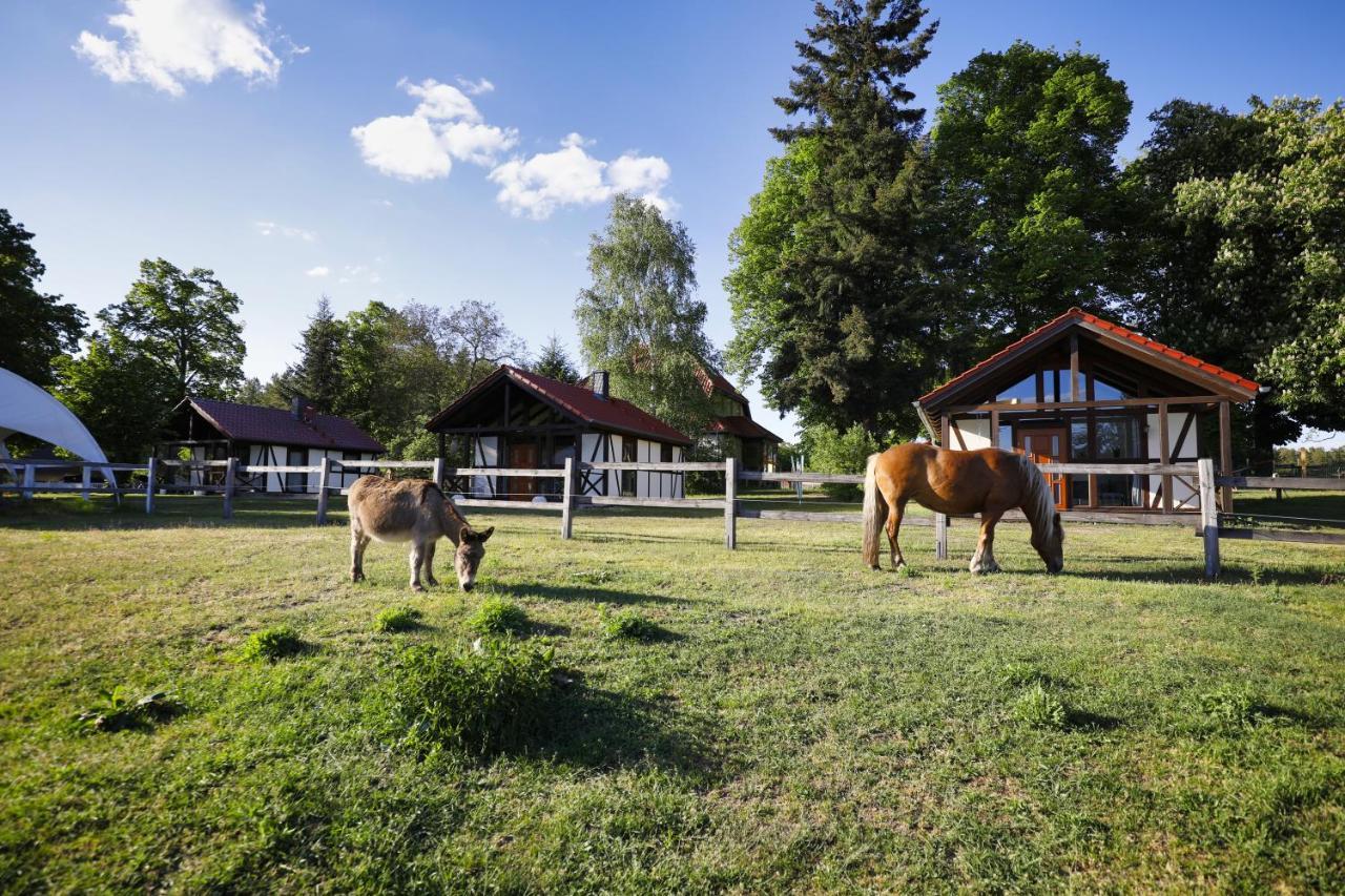 Pferdehof Schorfheide Villa Bagian luar foto