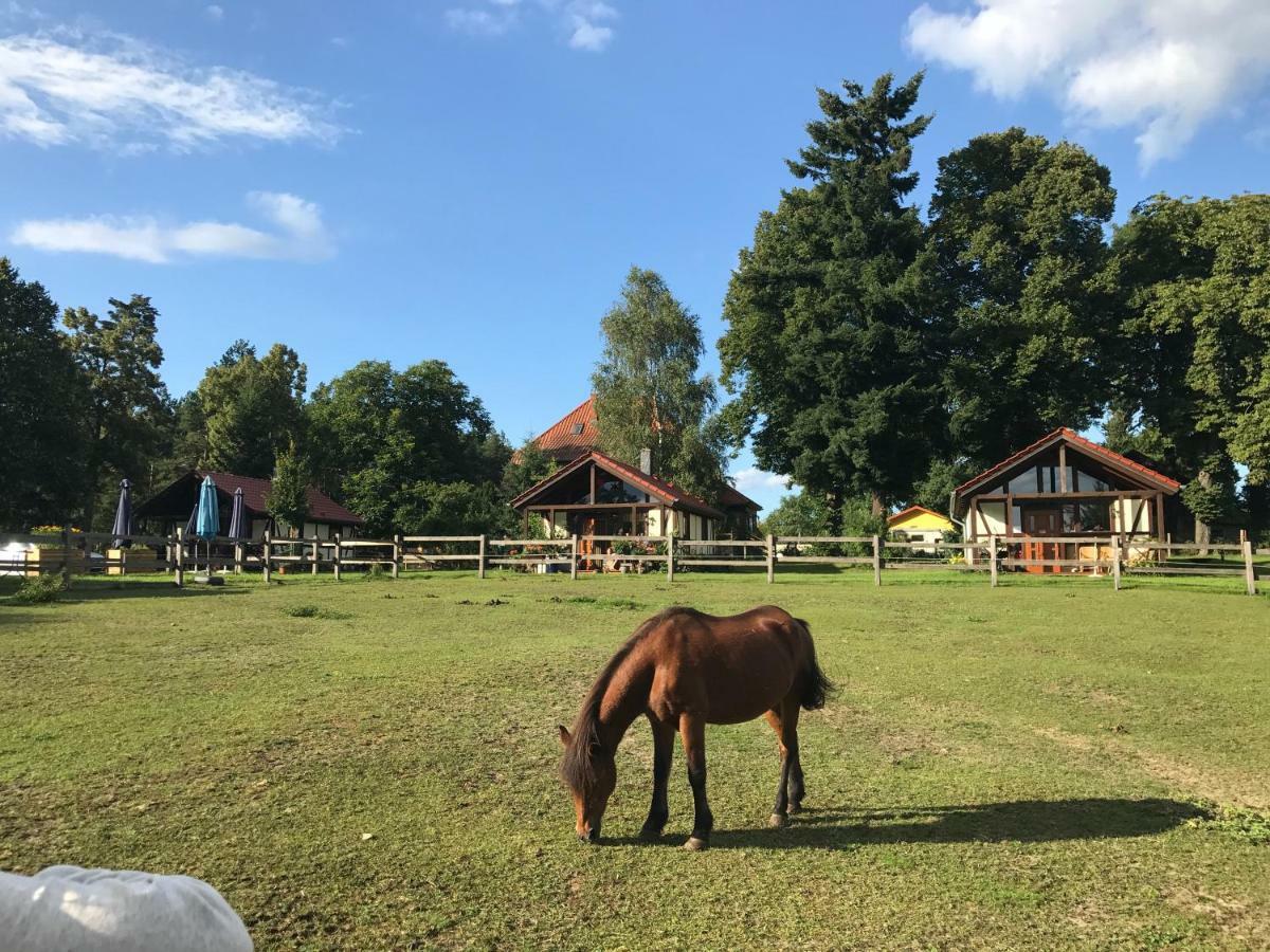 Pferdehof Schorfheide Villa Bagian luar foto